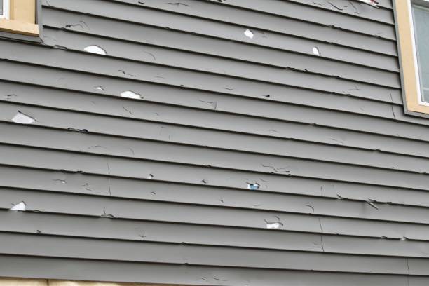 Shed Removal in Berwick, LA